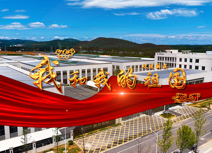 騰龍泵閥唱響《我和我的祖國》獻禮祖國76周年華誕